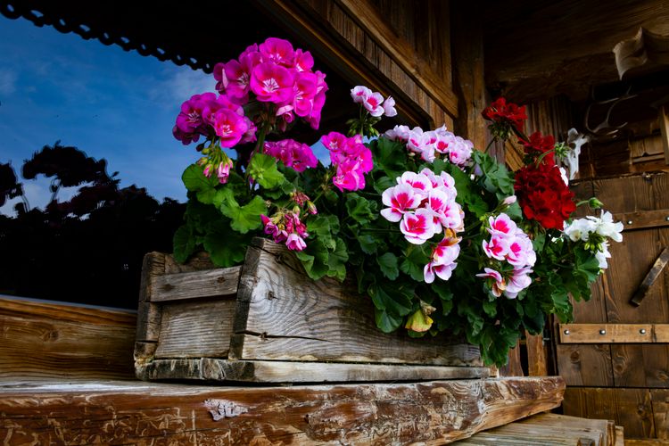 A Crate Full of Summer